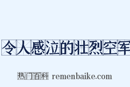 令人感泣的壮烈空军是什么意思的图片